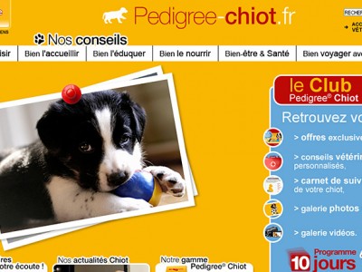 Pedigree® Chiot